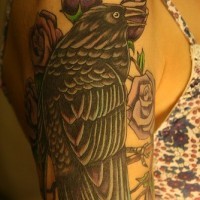 Tattoo von schwarzem Rabe und Rosen am Arm