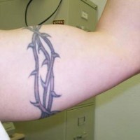 Tatuaje en brazo spineferous.
