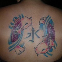 Zwei Koi-Fische am Rücken in Farbe