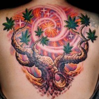Tatuaggio colorato sulla schiena l'albero con le foglie & i raggi di sole
