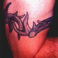 Spiniferous wire arm tattoo