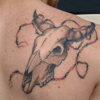 Bull skull in barb wire tattoo on shoulder