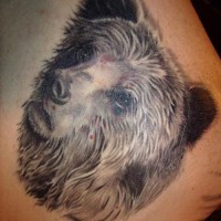 Le tatouage réaliste de la tête d'ours