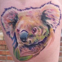 Tatuaje oso koala con aucalipto