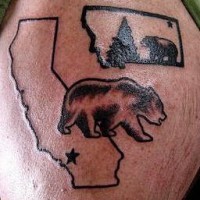 Tatuaje silueta de estado y un oso