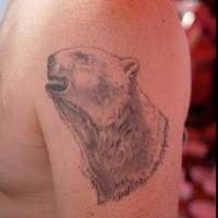 realistico orso polare tatuaggio sulla spalla