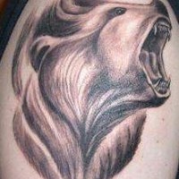 Roaring realistic bear tattoo