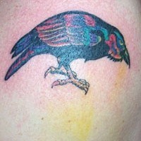 Le tatouage de corbeau multicolore