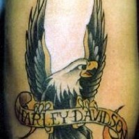 Harley davidson eagle tattoo