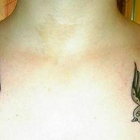 Two sparrows on chest