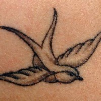 Tatuaggio piccolo la rondine che vola
