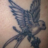 Tatuaje de ave que tiene un flor
