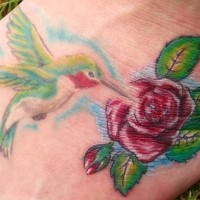 Colourful hummingbird on rose tattoo