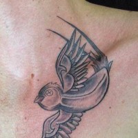 Tatuaggio piccolo sulla clavicola l'uccello