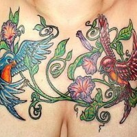 Two beautiful birds in small wood on chest