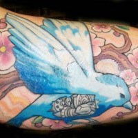 Tatuaje en el brazo, paloma azul bonita