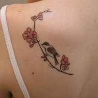 Tatuaje en el hombro, pajarito en el sakura suave