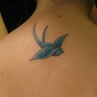 Blauer Vogel Tattoo am oberen Rücken