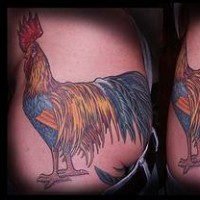 Tatuaje de gallo realista
