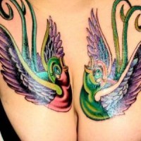 Tatuaje en el pecho, dos pájaros bonitas multicolores
