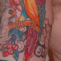 Tatuaggio grande sul braccio il pappagallo sul ramo