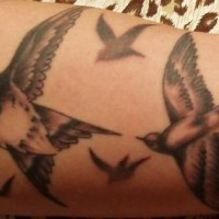 Tatuaje en el brazo, bandada de pájaros