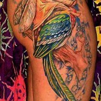 Tatuaggio impressionante sulla gamba piccola fata sopra dell'uccellino colorato