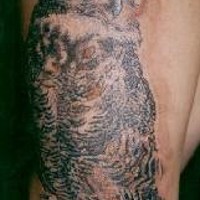 Realistic screech-owl tattoo