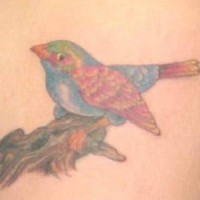 Realistic bird on tree tattoo
