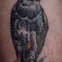 Le tatouage réaliste de faucon sur un arbre en couleur