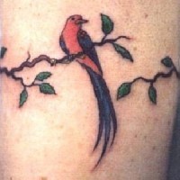 Wild jungle bird on tree armband tattoo