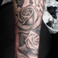Tatuaje en negro y blanco con las rosas en la manga
