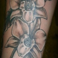 nero e bianco fiore tatuaggio sul braccio