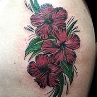 tatuaje oscuro de hibisco rojo