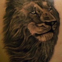 Schwarze Tinte Löwe Tattoo