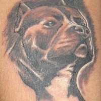 Schwarzes Tattoo mit Kopf des Pitbulls
