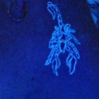 Little scorpion glowing ink tattoo