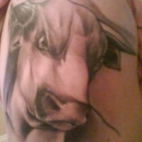 Meany look bull head black ink tattoo