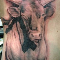 Domestic bull tattoo in black
