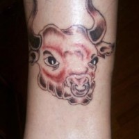 young testa toro tatuaggio