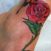 Butterfly on red rose tattoo