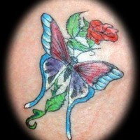 splendida farfalla con rosa tatuaggio colorato