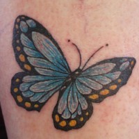 Tattoo mit realistischem blauem Schmetterling