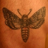 Large moth tattoo