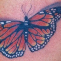 Original Tattoo von Monarch Schmetterling in 3d