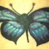 Kleiner blauer Schmetterling Tattoo