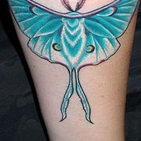 Blue moth tattoo on leg