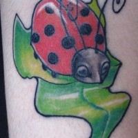 favolosa coccinella sulla  foglia verde tatuaggio