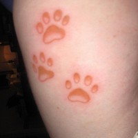 Le tatouage d’empreintes de pattes de chat rouges
