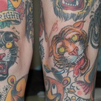Panthère tigre rugissants  tatouage coloré